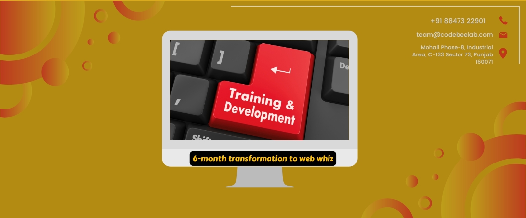 6-month transformation to web whiz