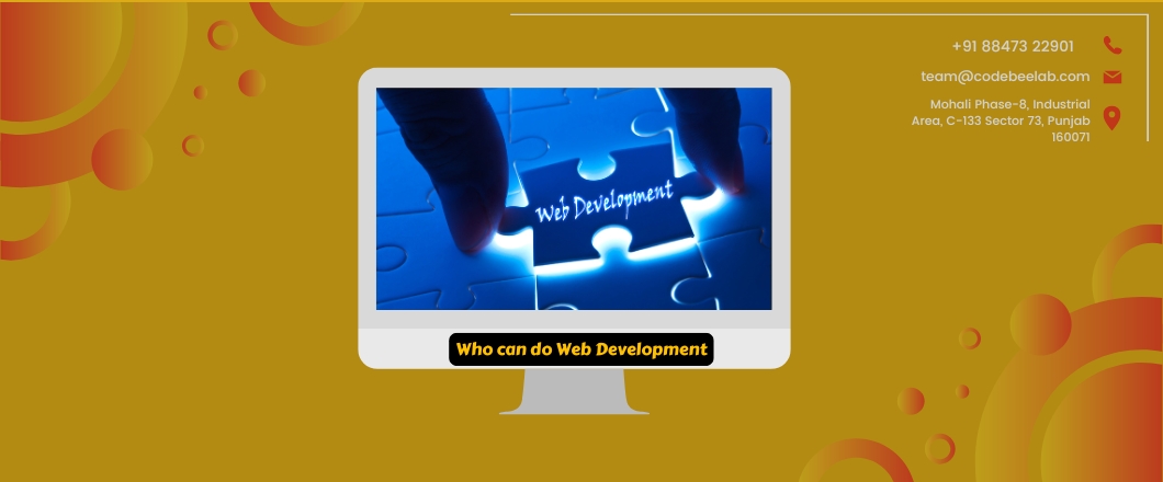 Who can do Web Development