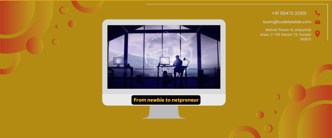 From newbie to netpreneur