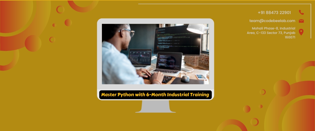 Master Python with 6-Month Industrial Training
