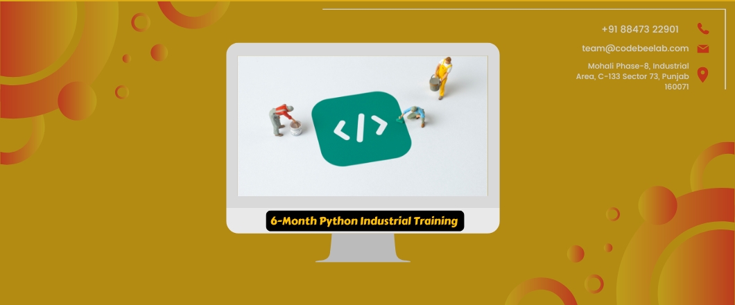 6-Month Python Industrial Training