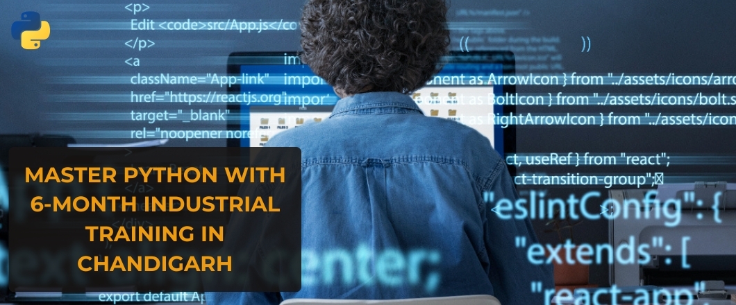 Master Python with 6-Month Industrial Training